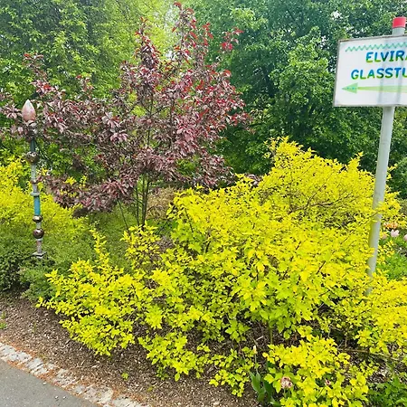Ger-haus Guest house